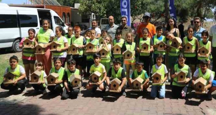 Doğadaki kuşlara özel yuva