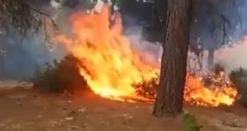 Yaylalarda çıkan yangınlar korku dolu anlar yaşattı