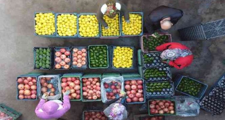 Mersin'den Avrupa'ya nar, limon ve avokado ihracatı