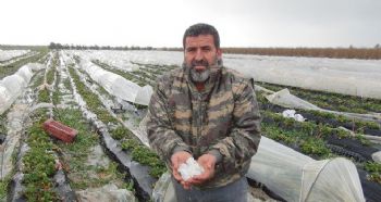 MERSİN’DE DOLU, SERA VE BAHÇELERE ZARAR VERDİ