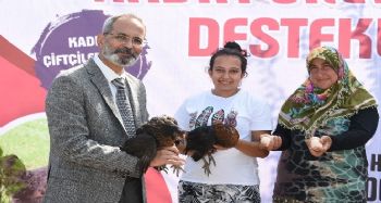 Tarsus Belediyesi, 200 kadına 5 bin canlı tavuk dağıttı