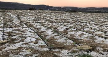 Erdemli'de dolunun zararı yaklaşık 2,5 milyon lira