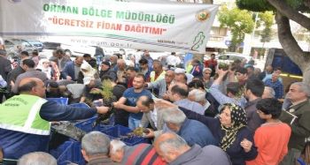 MERSİN’DE FİDAN DAĞITIMINA YOĞUN İLGİ
