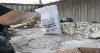 Büyükşehir Belediyesi, 64 bin aileye 640 bin kilogram un dağıttı