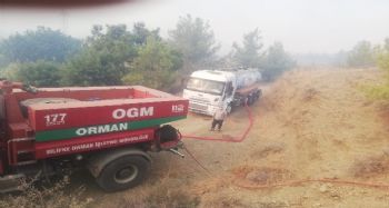 Mezitli Belediyesi, yangının söndürülmesine destek veriyor