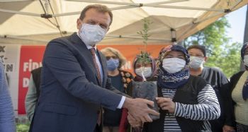Büyükşehir Belediyesi, Silifkeli üreticilere 40 bin lavanta fidesi, 990 alıç fidanı dağıttı