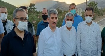 İçişleri Bakan Yardımcısı İnce, Mersin'de yangın bölgesinde
