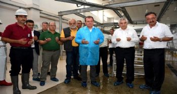 Başkan Seçer, şehitler anısına kurban kestirdi