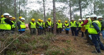 ORMANCILARA SİLVİKÜLTÜR EĞİTİMİ