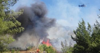 Silifke'de çıkan yangında 4 hektar alan zarar gördü