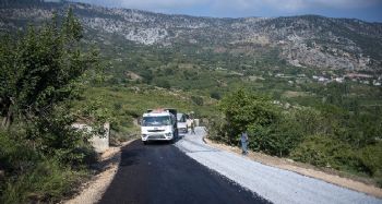 Mersinli üreticinin şeftalisi İç Anadolu'ya daha hızlı ulaşacak