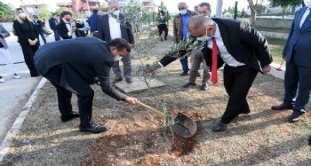 Yenişehir'deki okullarda bin adet zeytin fidanı toprakla buluştu