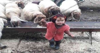 Yörük kızı Müslüme'nin ölümüyle ilgili yayın yasağı getirildi