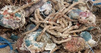DENİZLER TERK EDİLMİŞ AV ARAÇLARINDAN TEMİZLENDİ