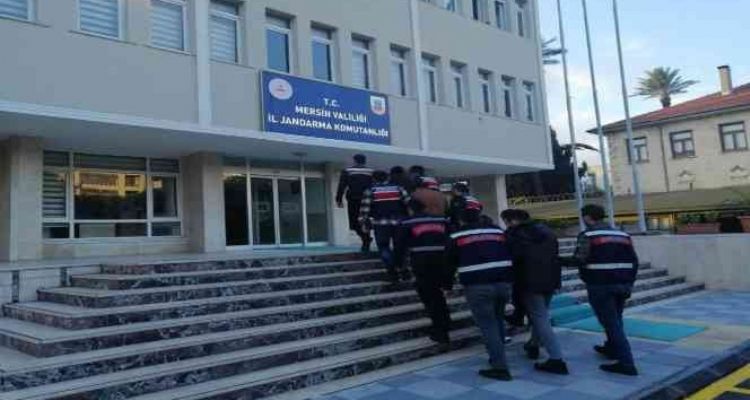 Brezilya'da yaşayan vampir yarasa Mersinlileri korkuttu