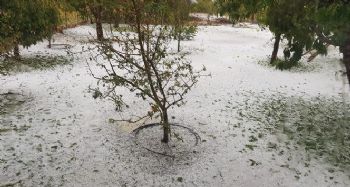 Mersin'de şiddetli yağmur ve dolu etkili oldu