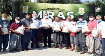 Tarsus Belediyesi, çiftçiye ücretsiz 16 ton atalık arpa ve buğday tohumu dağıttı