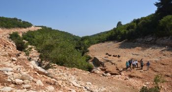 Akduman, bal ormanı çalışmalarını inceledi