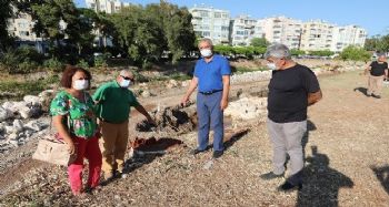 Tarhan, Müftü Deresinde incelemelerde bulundu