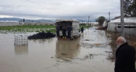 MERSİNLİ ÇİFTÇİ, BORÇ AFFI VE NAKDİ YARDIM BEKLİYOR