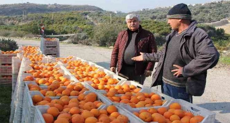 Elektrik direklerindeki görüntü kirliliği sona eriyor