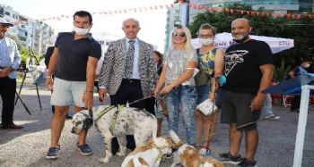 Başkan Gültak, hayvanseverlere mama ve yuva dağıttı