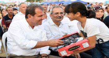 Tarsus'ta İncir Şenliği coşkusu