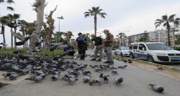 Polisler sokak hayvanlarını unutmuyor