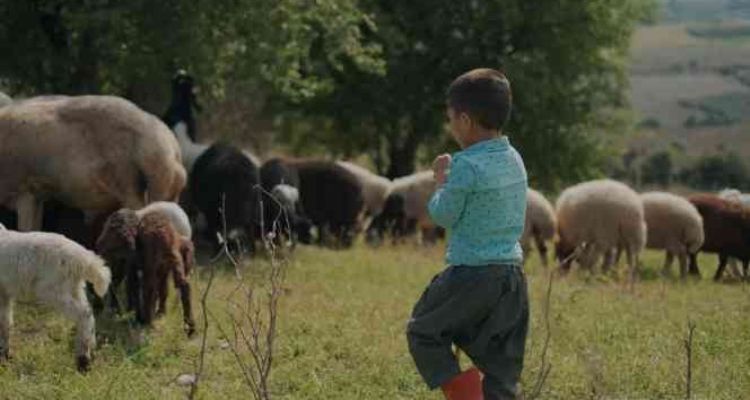 Mersin'de '100 bin gülücük' projesi