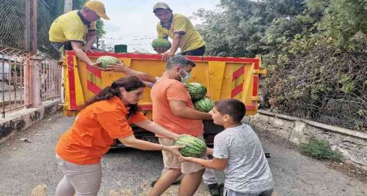 Tarsus Belediyesi, halka 6 ton karpuz dağıttı