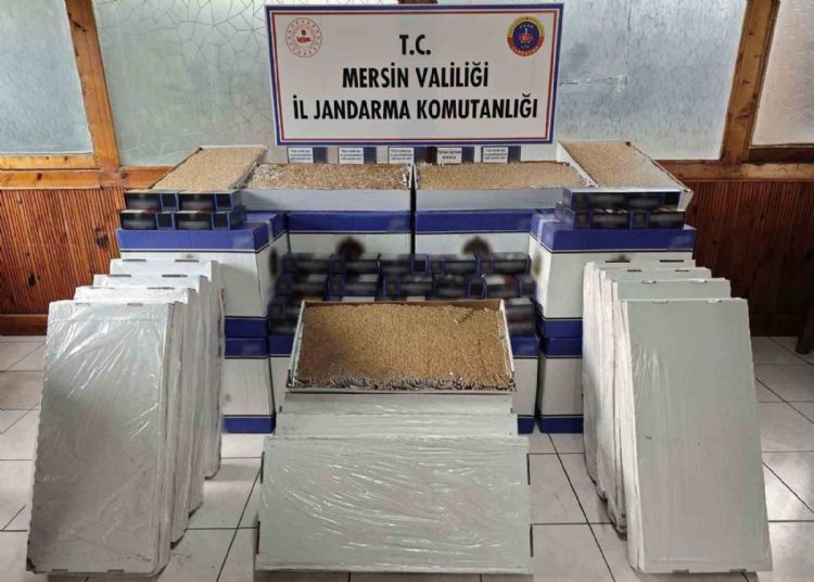 Mersin’de 500 bin adet makaron ele geçirildi