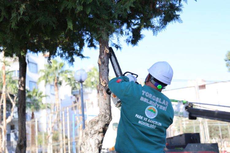 TOROSLAR BELEDİYESİNDEN AĞAÇLARA KIŞ BAKIMI