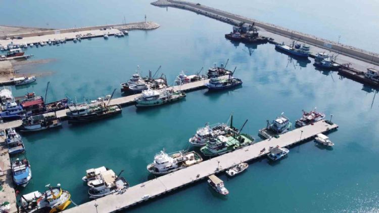 Doğu Akdeniz’de balık popülasyonu azalıyor
