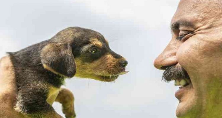 Mersin'de 2 gün çukurda mahsur kalan köpek kurtarıldı