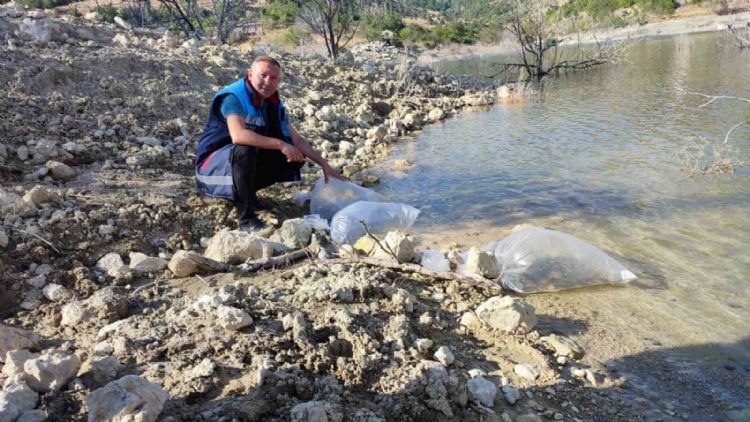 Mersin’de Dereyurt Göletine 15 bin sazan balığı yavrusu bırakıldı