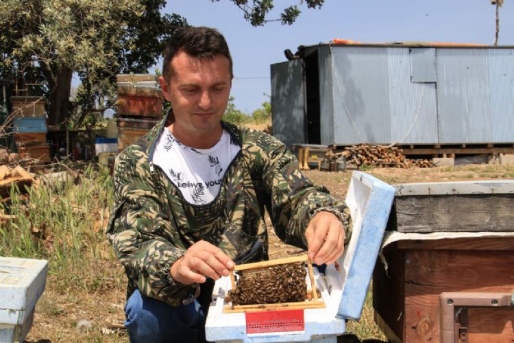 Finans uzmanıydı, arıcı oldu