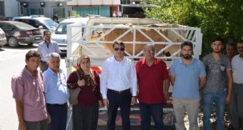 Genç çiftçilere 395 baş hayvan teslim edildi