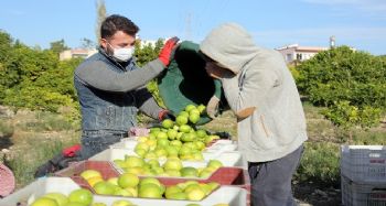Tescilli Lamas limonu hasadı bereket duası ile başladı