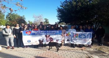 Özekenci: Barınak koşulları hukuka ve uluslararası standartlara uygun olmalı