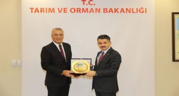 Ankara'ya 5 dosyayla giden Tarhan, destek sözüyle döndü