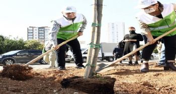 Mersin'de bir yılda 700 bin fidan dikilecek