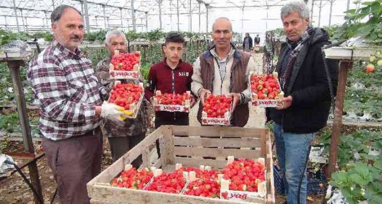 SICAK HAVA KENT MERKEZİNİ BOŞALTTI