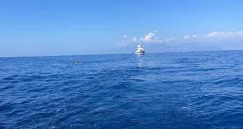 Emre Seven'in Mersin-KKTC arası yüzüşü yarım kaldı