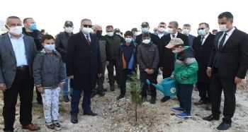 Mersin'de 200 fidan toprakla buluştu