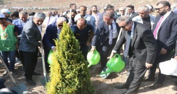 Mersin'de 251 bin fidan toprakla buluştu
