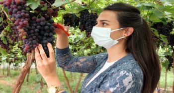 Akdeniz'in siyah incisi yüzleri güldürüyor