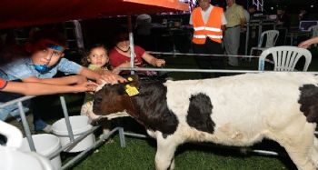Mersin Büyükşehir Belediyesi ‘buzağı barınağı’ dağıttı