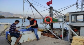 Mersin'de boy limitlerine uymayan balıklara el konuldu