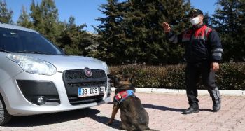 2020 yılında Mersin'de 35 terör örgütü üyesi tutuklandı
