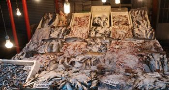 Balıkçılar çiftlik balıklarının fiyatlarının artmasına tepkili